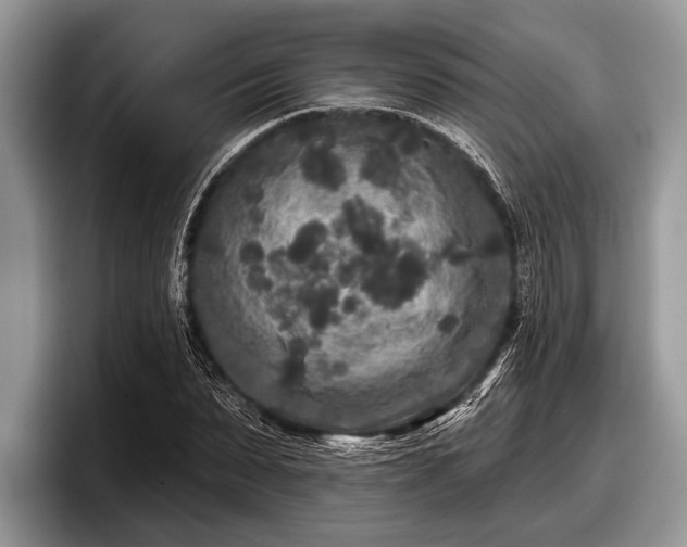 X0000097890879200803211353