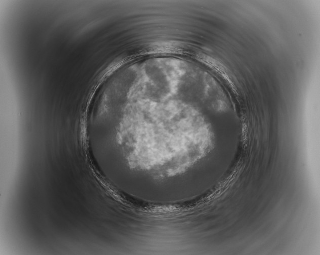 X0000097890882200803211353