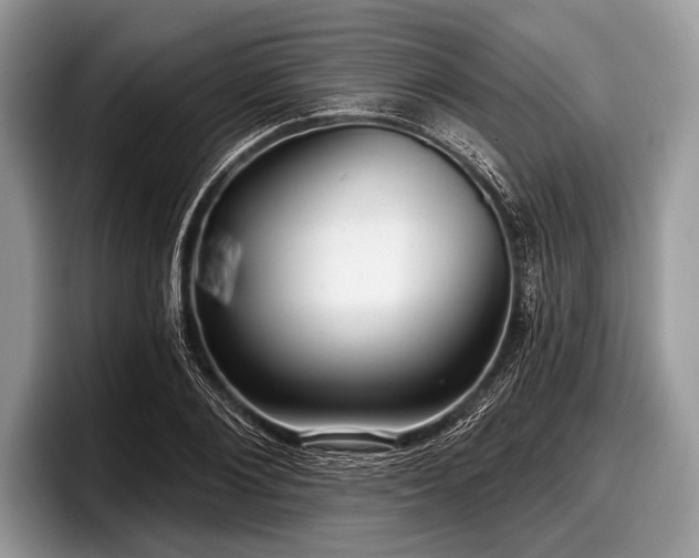 X0000097890884200803211353