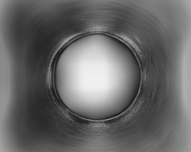 X0000097890886200803211353