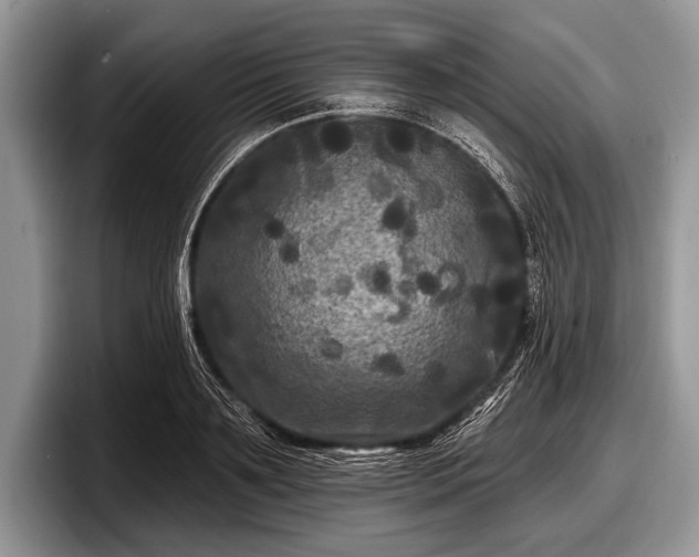 X0000097890891200803211353