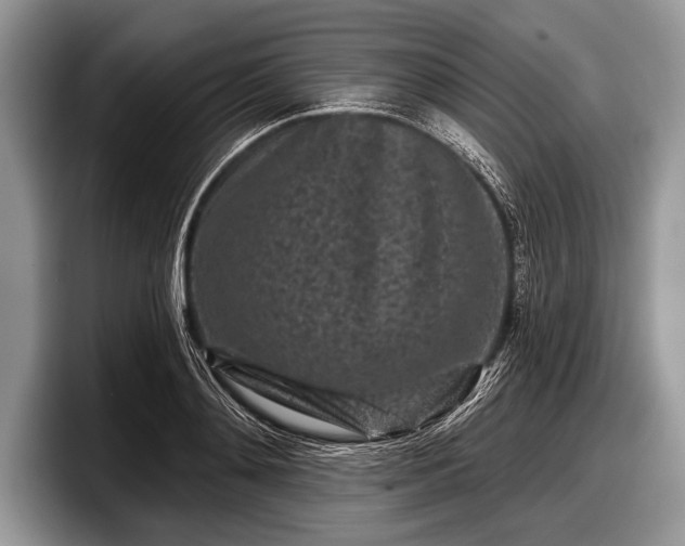 X0000097890892200803211353