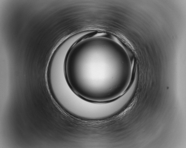 X0000097890893200803211353