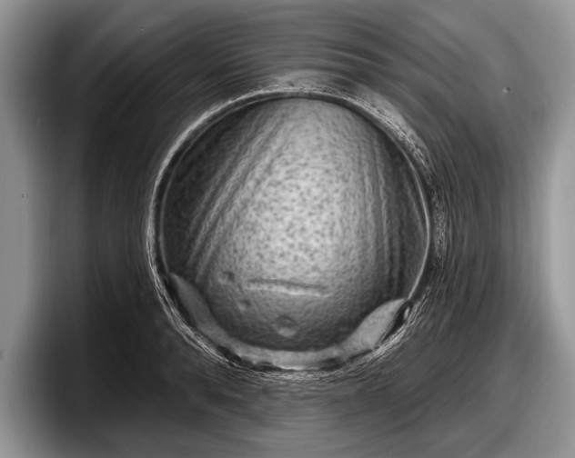 X0000097890896200803211353