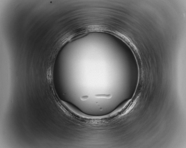 X0000097890897200803211353