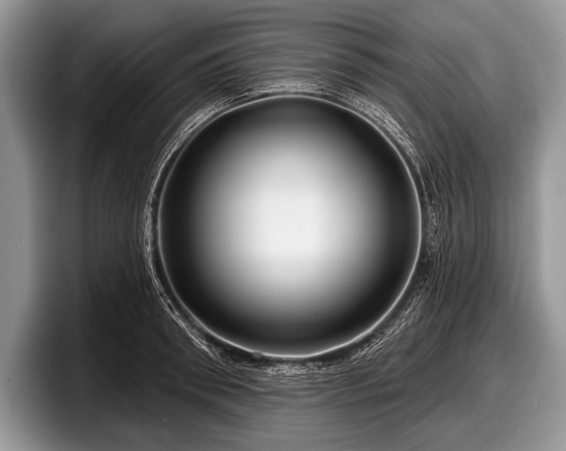 X0000097890898200803211353