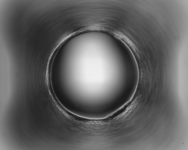 X0000097890902200803211353