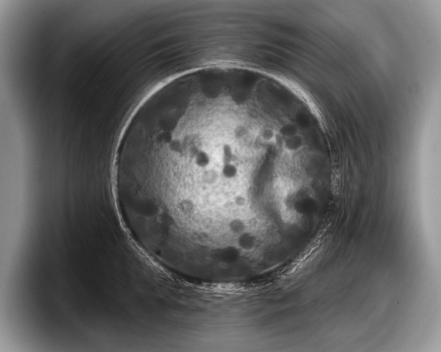 X0000097890903200803211353