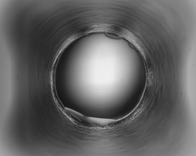 X0000097890906200803211353