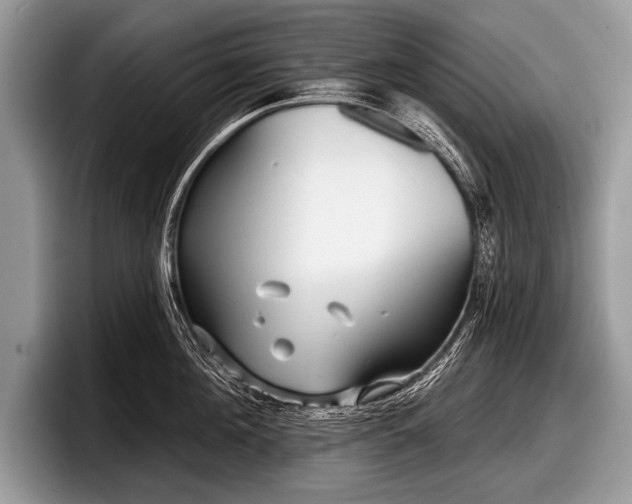 X0000097890908200803211353