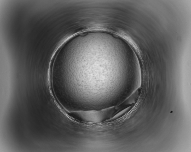 X0000097890910200803211353