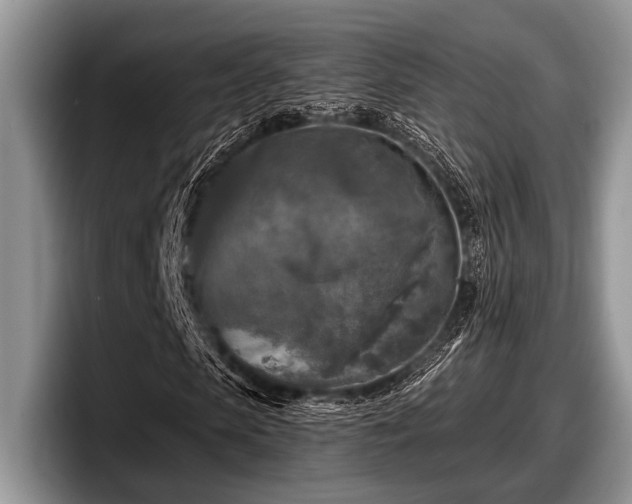 X0000097890913200803211352