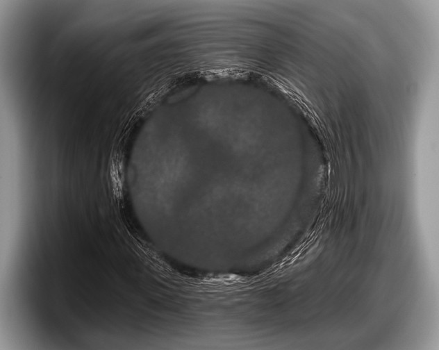 X0000097890915200803211352