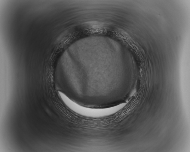 X0000097890916200803211352