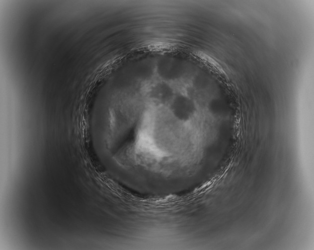 X0000097890917200803211352