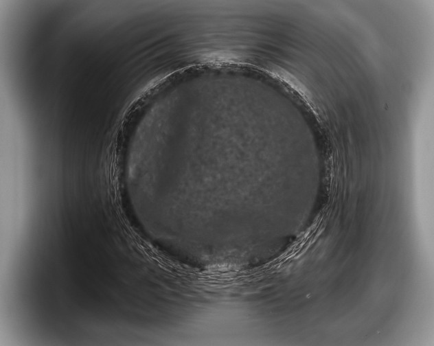 X0000097890919200803211352