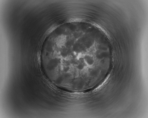 X0000097890921200803211352