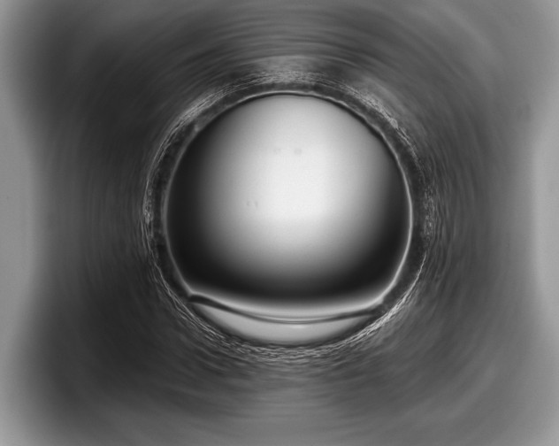 X0000097890922200803211352