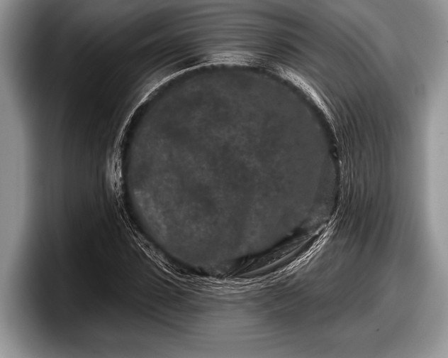 X0000097890923200803211352