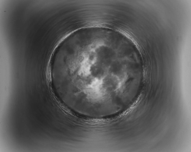 X0000097890925200803211352