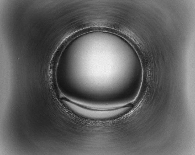 X0000097890926200803211352