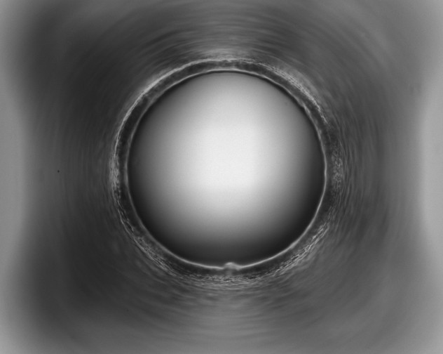 X0000097890927200803211352