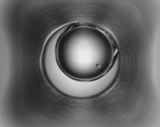 X0000097890928200803211352