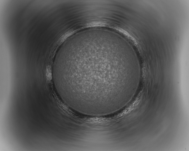 X0000097890929200803211352