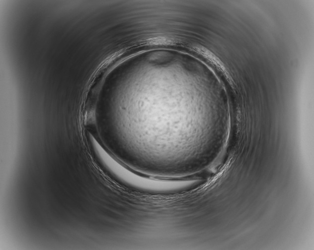 X0000097890930200803211352