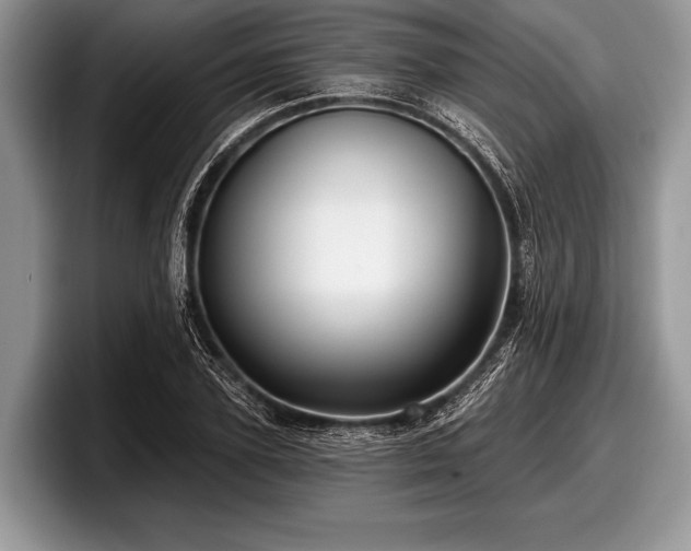 X0000097890931200803211352