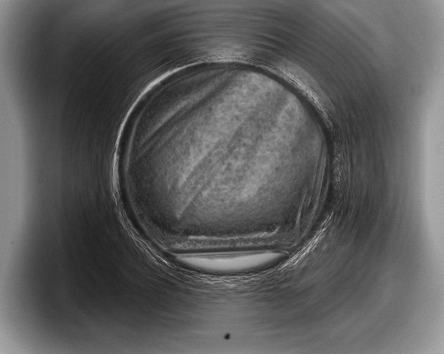 X0000097890932200803211352