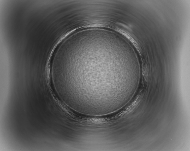 X0000097890933200803211352