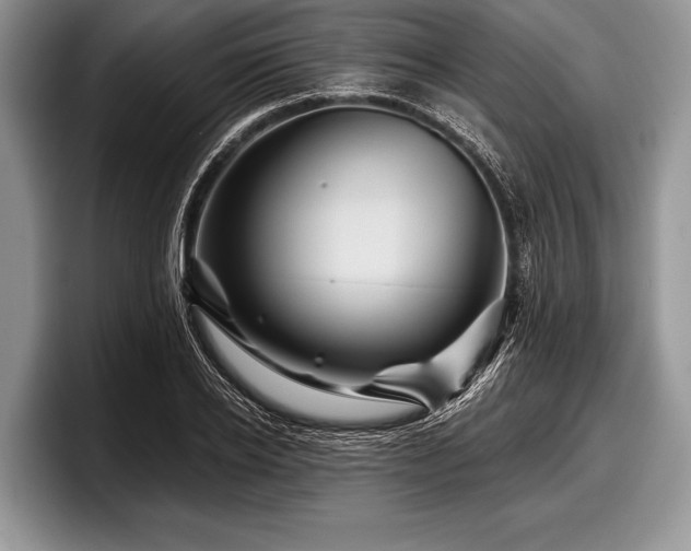 X0000097890934200803211352