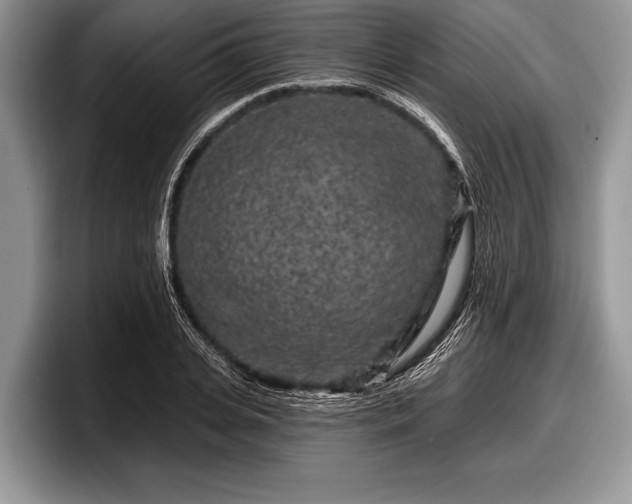 X0000097890935200803211352