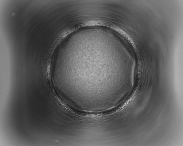 X0000097890937200803211352