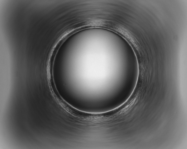 X0000097890939200803211352