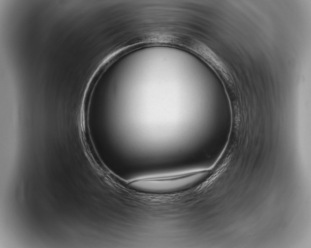 X0000097890940200803211352