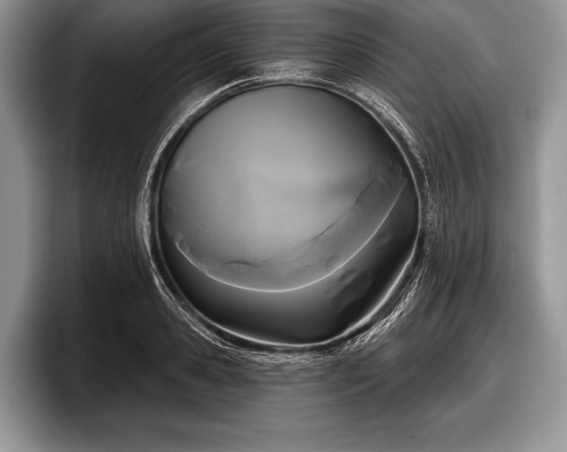 X0000097890941200803211352