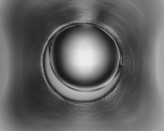 X0000097890942200803211352