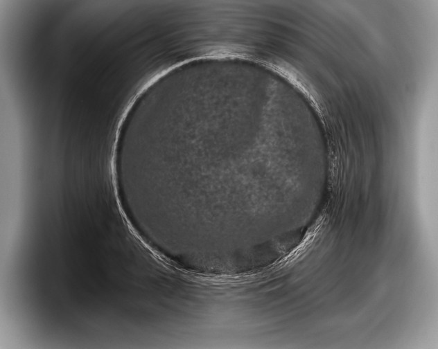 X0000097890943200803211352