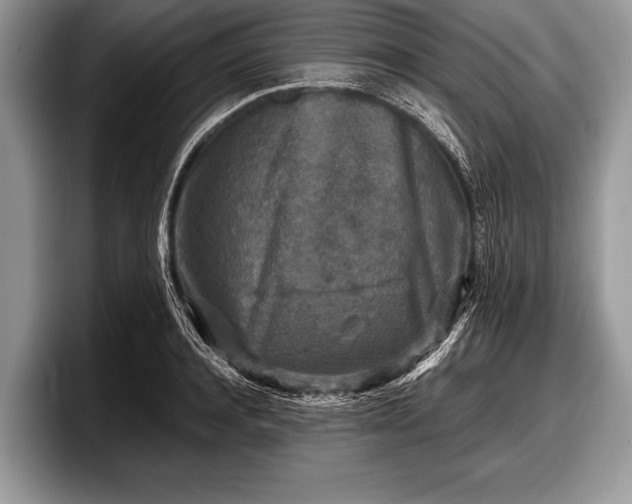 X0000097890944200803211352