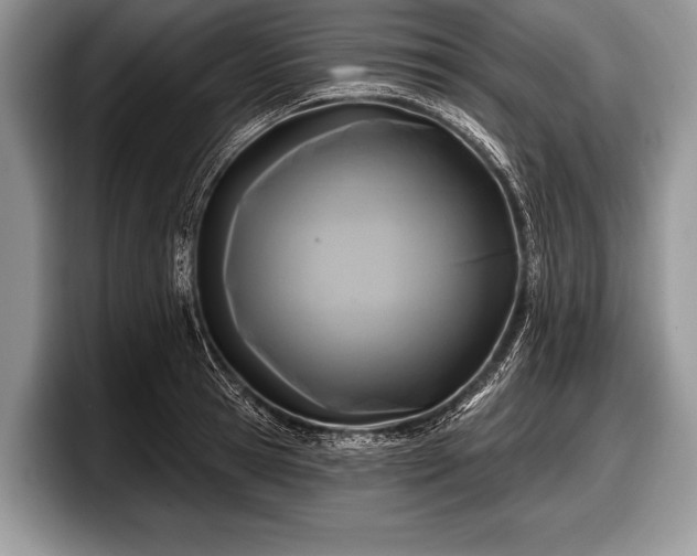 X0000097890945200803211353