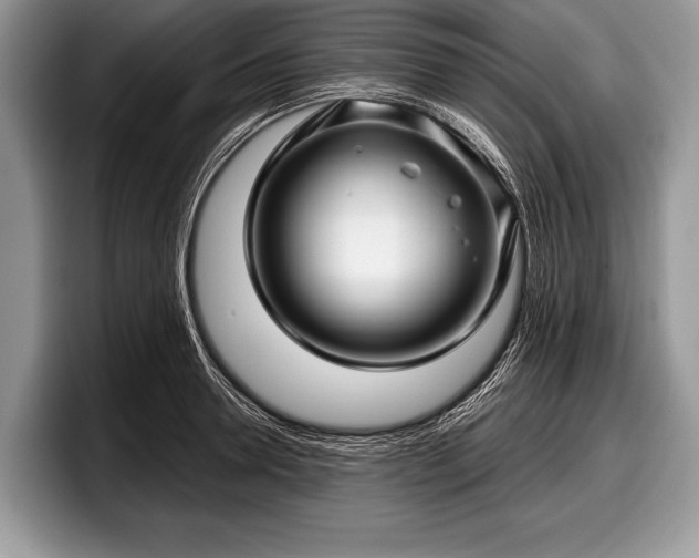 X0000097890946200803211353