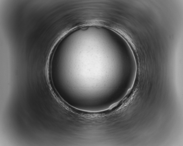 X0000097890949200803211353