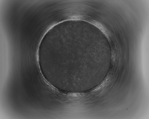 X0000097890950200803211353