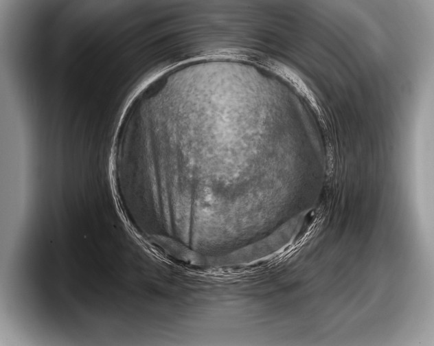 X0000097890952200803211353