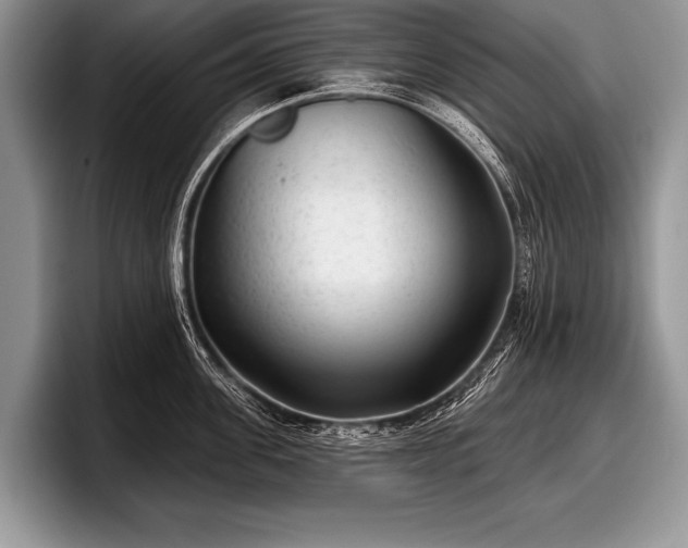 X0000097890955200803211353