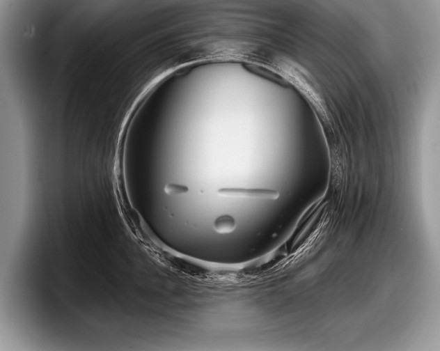 X0000097890956200803211353