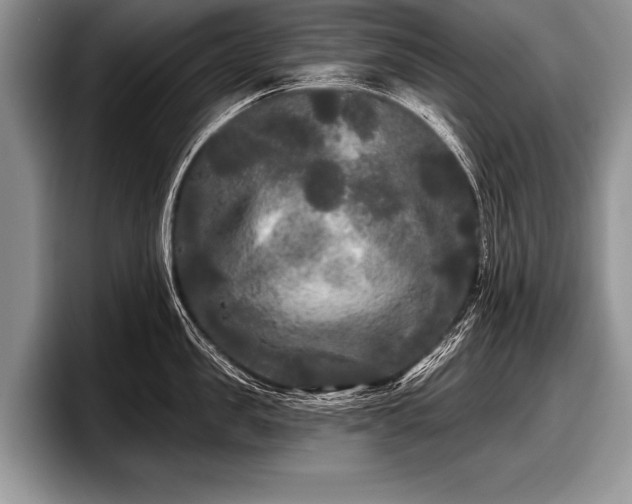 X0000097890957200803211353