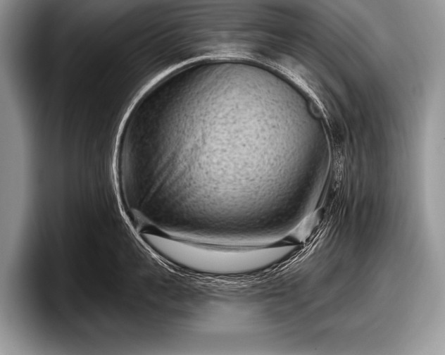 X0000097890959200803211353